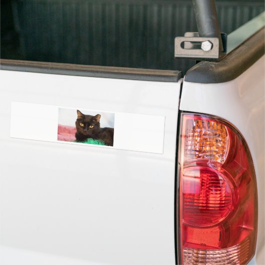 Simon Autoaufkleber (Auf Lkw)