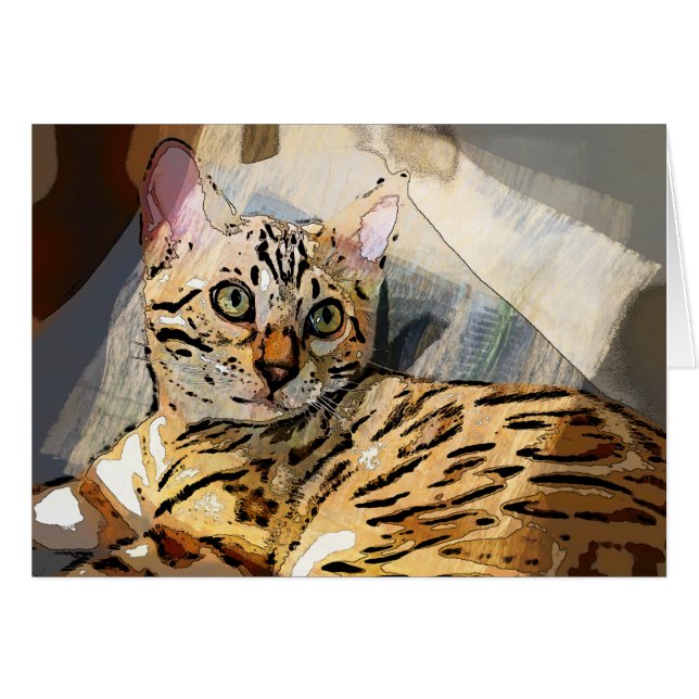 SIMON IM LICHT (Vorderseite (Horizontal))