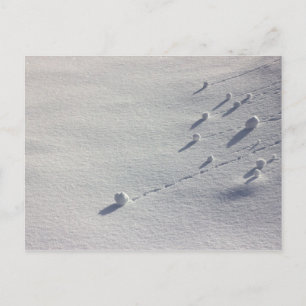 Simon Says Postkarte CC0077