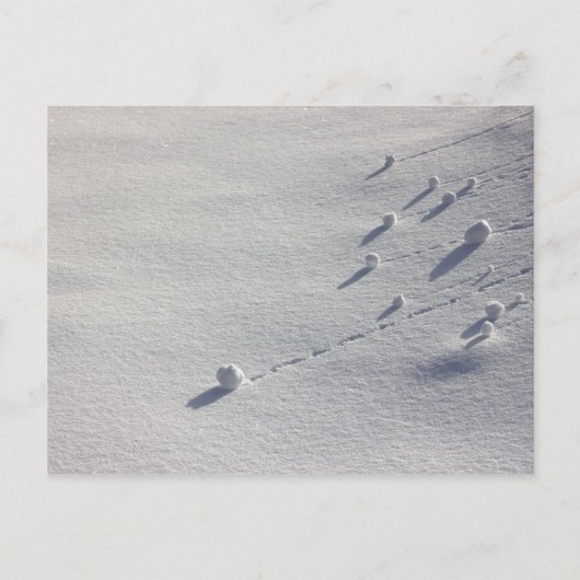 Simon Says Postkarte CC0077 (Vorderseite)