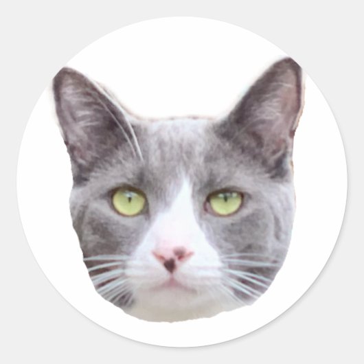 Simon Sticker (Vorderseite)