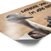 Simpática avestruz fotodruck (Ecke)