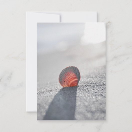 Simple Beach Seashell, Hearts Empfang Einladung (Rückseite)