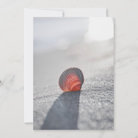 Simple Beach Seashell Wine Glass Retirement Einladung (Rückseite)