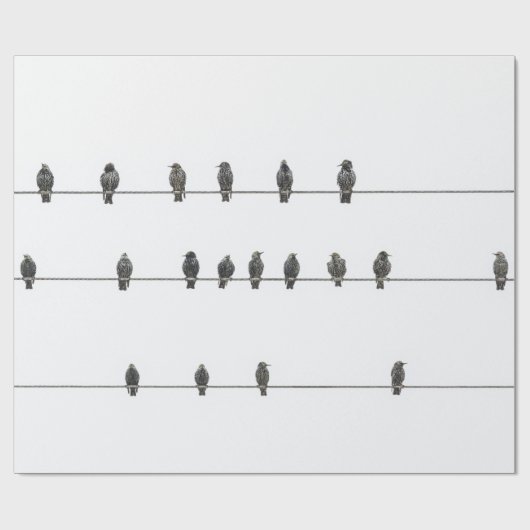 Simple Birds on the Wires Hand-Drawn Illustration Geschenkpapier (Flach)