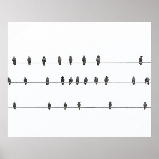 Simple Birds on the Wires Hand-Drawn Illustration Poster (Vorne)