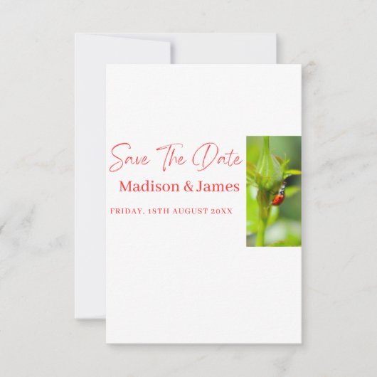 SImple Budget Save the Date Skripteinladungen (Vorderseite)