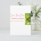SImple Budget Save the Date Skripteinladungen (Stehend Vorderseite)