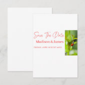 SImple Budget Save the Date Skripteinladungen (Vorne/Hinten)