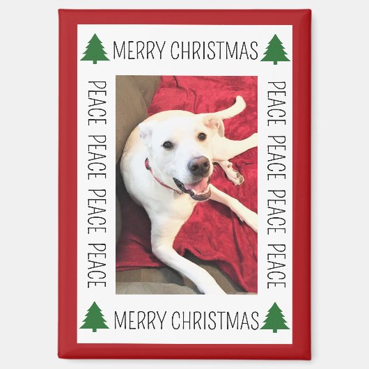 Simple Christmas Photo Frame of Funny Smiling Dog Magnet (Vorderseite)