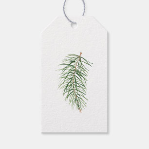 Simple Classic Evergreen Christmas Tree Branch 2 Geschenkanhänger