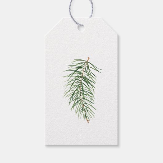 Simple Classic Evergreen Christmas Tree Branch 2 Geschenkanhänger (Vorderseite)