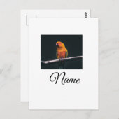 Simple colorful animal add name photo custom throw postkarte (Vorne/Hinten)