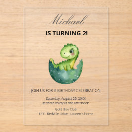 Simple Cute Green Dinosaur Birthday Party Invitati Acryleinladungen