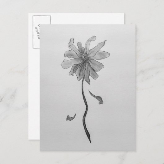 Simple Daisy Postkarte (Vorne/Hinten)