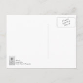 Simple Daisy Postkarte (Rückseite)