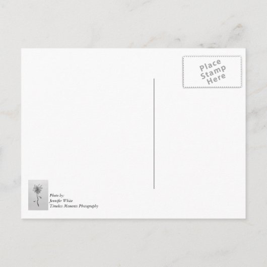 Simple Daisy Postkarte (Rückseite)