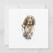 Simple Funny niedlich Springer Spaniel Dog Vielen Karte (Vorderseite)