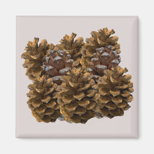 Simple Pinecones Magnet