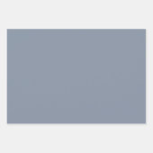 Simple Solid Melon Pink Cambridge Blue Cool Grau Geschenkpapier Set (Vorderseite 3)