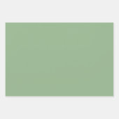 Simple Solid Melon Pink Cambridge Blue Cool Grau Geschenkpapier Set (Vorderseite 2)