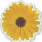 Simple Yellow Daisy Aufkleber (Vorderseite)