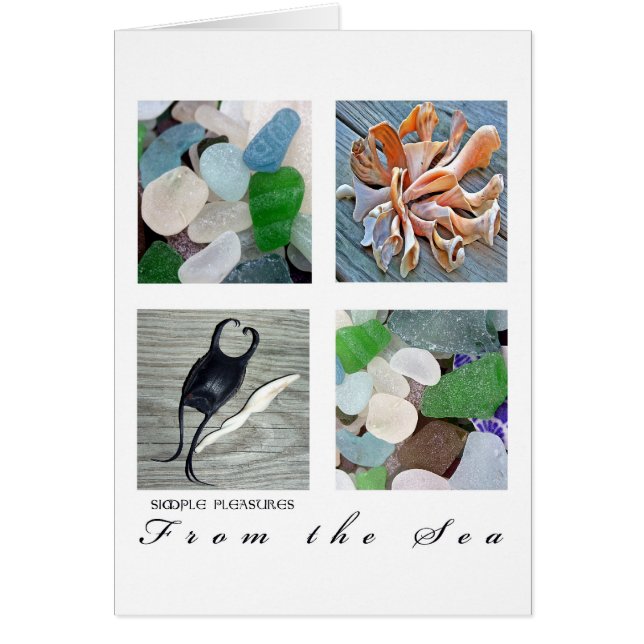 SimplePleasuresVom Meer (Vorne)