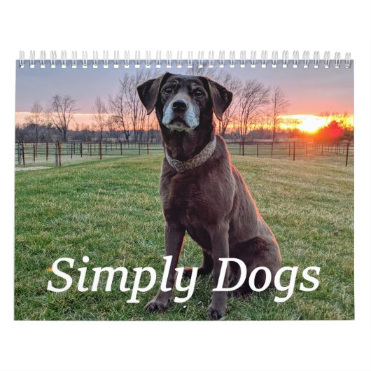 Simply Dogs calendar Kalender (Titelbild)