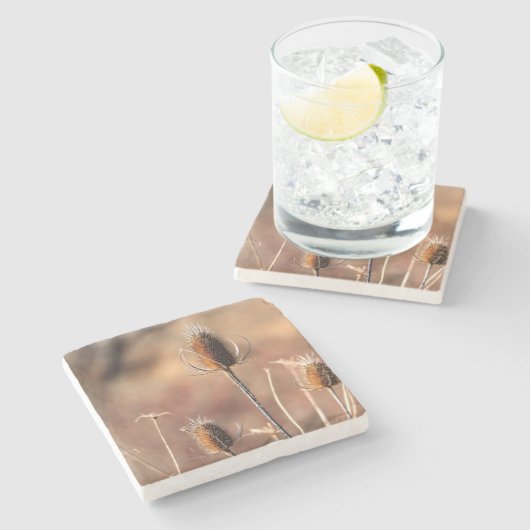 Simply Thistle Steinuntersetzer (Seitenansicht)