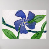 Simply Vinca 2 Poster (Vorne)