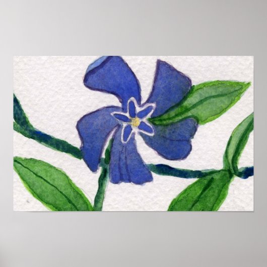 Simply Vinca 2 Poster (Vorne)