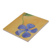 "Simply Vinca" Küche Garten Keramik Tile Fliese (Seite)