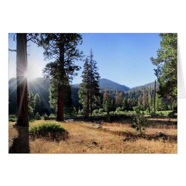 Simpson Meadow - Sierra (Vorderseite (Horizontal))