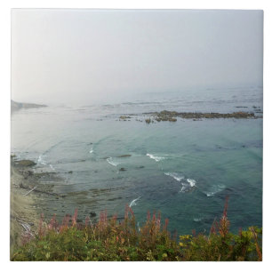 Simpson Reef Overlook, Oregon Coast Fliese