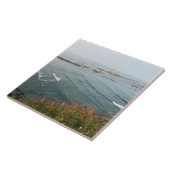 Simpson Reef Overlook, Oregon Coast Fliese (Seite)