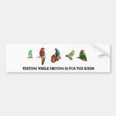 Sims beim Autoaufkleber (Vorne)