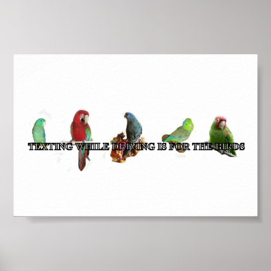 Sims beim Poster (Vorne)