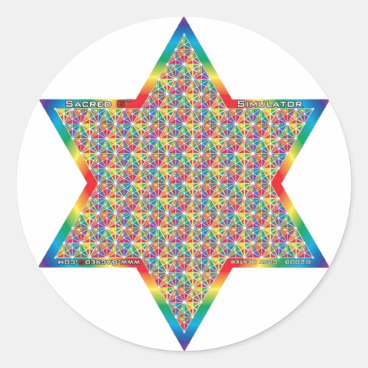 Simulator Runder Aufkleber (Vorderseite)