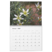 Sinai-Wüsten-Blumen Kalender (Jan 2027)