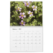 Sinai-Wüsten-Blumen Kalender (Feb 2027)