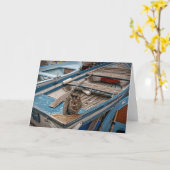 Sinbad the Sailor Cat - Grußkarte Karte (Gelbe Blume)