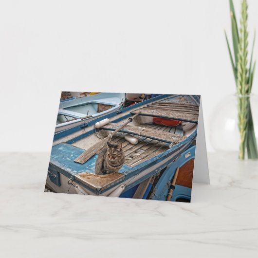 Sinbad the Sailor Cat - Grußkarte Karte (Vorderseite)