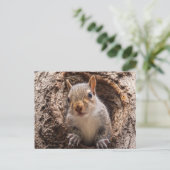 Sincap Postkarte (Stehend Vorderseite)