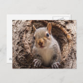 Sincap Postkarte (Vorne/Hinten)