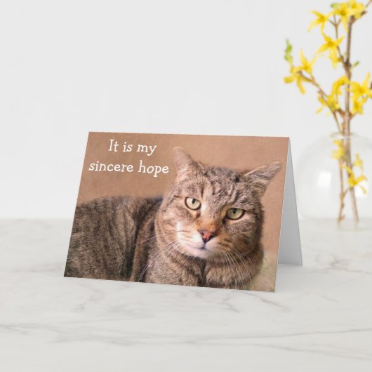 Sincere Cat Get Well Karte (Gelbe Blume)
