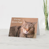 Sincere Cat Get Well Karte (Vorderseite)