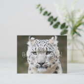 Sincere Snow Leopard Vielen Dank Postkarte (Stehend Vorderseite)