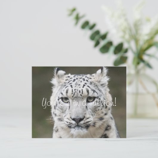 Sincere Snow Leopard Vielen Dank Postkarte (Stehend Vorderseite)