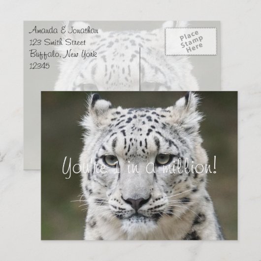 Sincere Snow Leopard Vielen Dank Postkarte (Vorne/Hinten)
