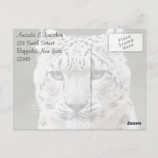 Sincere Snow Leopard Vielen Dank Postkarte (Rückseite)